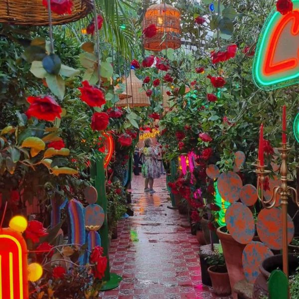 7f68f588-1288-41cc-af20-c028497b3ccb